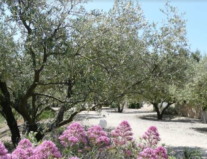 Villa Le Mazet 40 à Saint-Rémy-de-Provence Extérieur photo